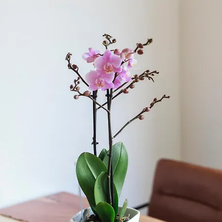 Apartamento Flat Hanóver